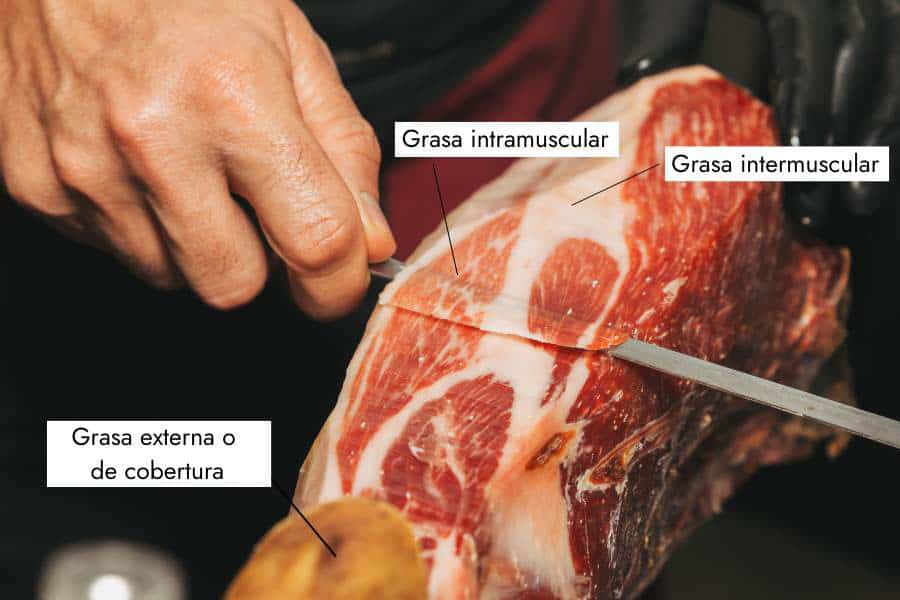 tipos-de-grasa-del-jamon-iberico